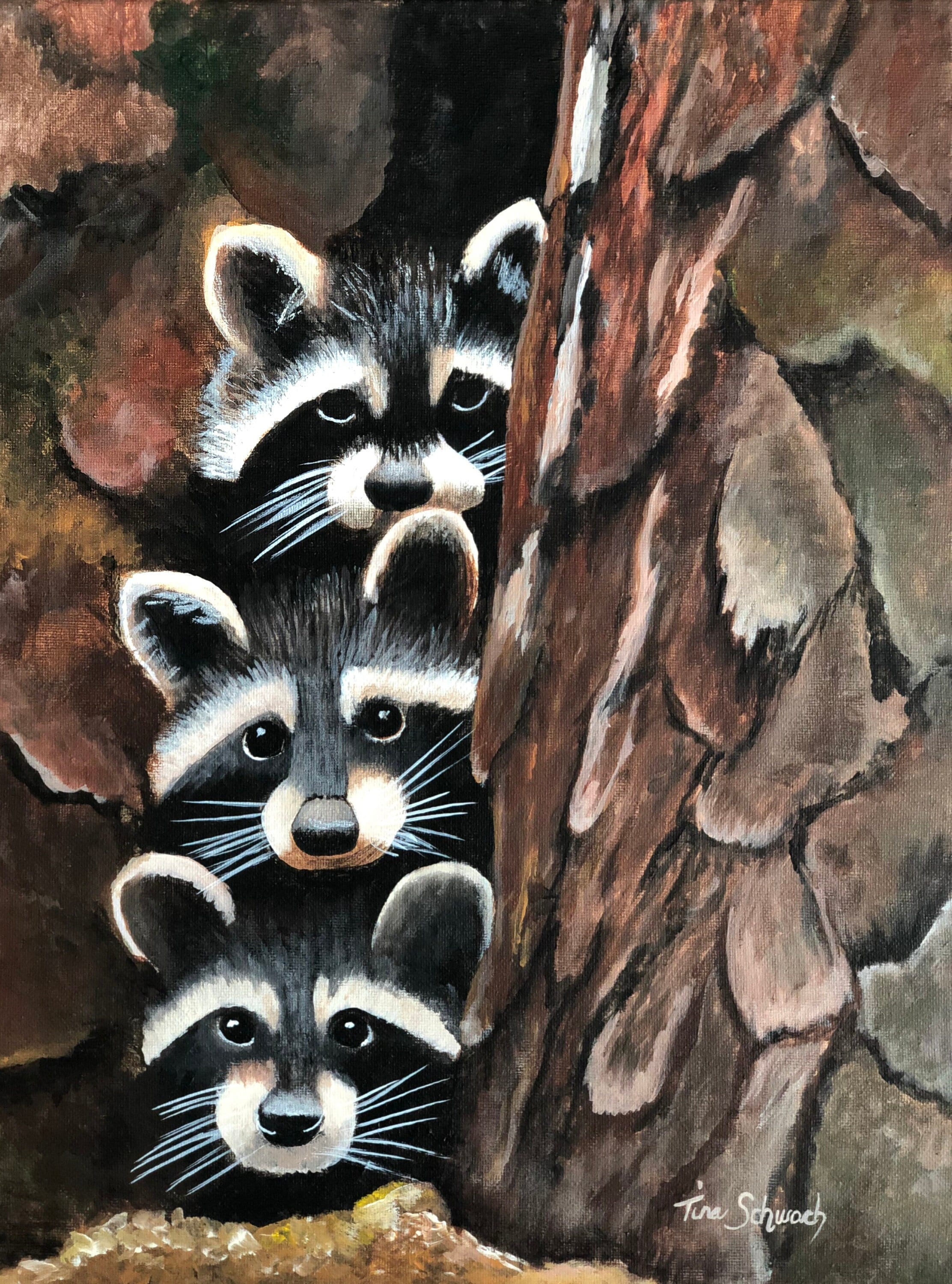 Three Raccoons Art Original Acrylic Painting on Canvas or Prints for ...