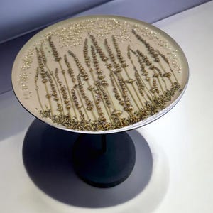 May include: A round, white cake stand with a black pedestal base. The top of the stand is decorated with dried lavender flowers and gold glitter.