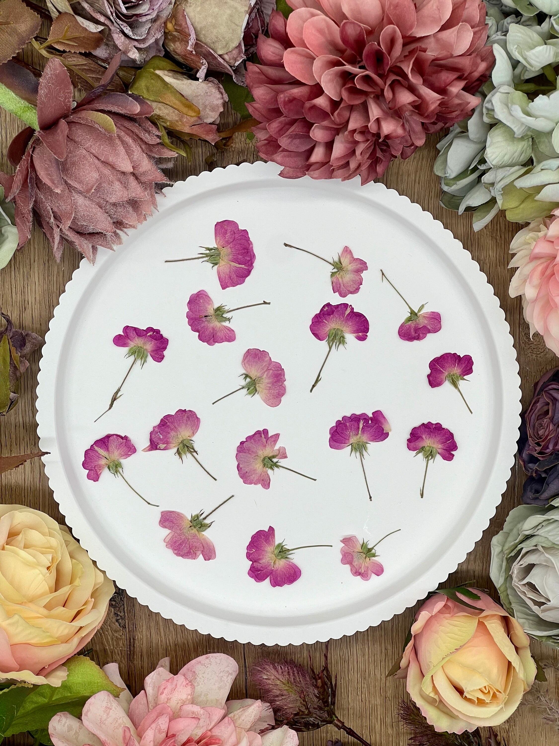 Fiori Secchi Decorativi - Crisantemi Stabilizzati, 100g, Per Bomboniere Matrimonio, DIY E Decorazione Casa