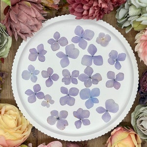 Dried flowers | Hydrangeas purple | 20 pieces | Pressed flowers for resin art | DIY | Candles | Jewelry | Scrapbooking | Decoration