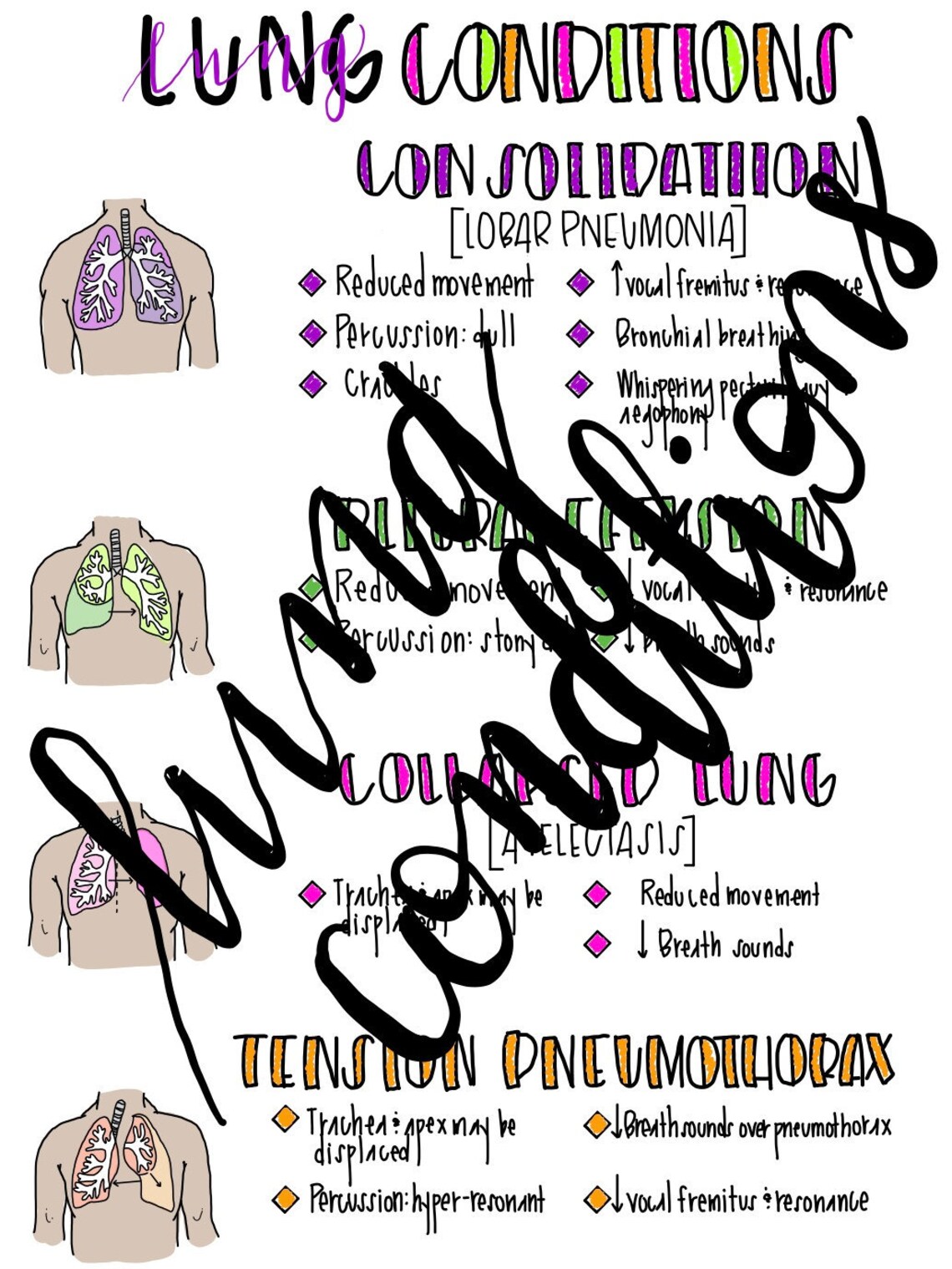 Lung Conditions Cheat Sheet Etsy