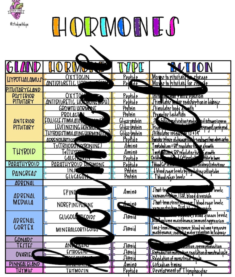 Hormones Cheat Sheet for Nursing Students Etsy