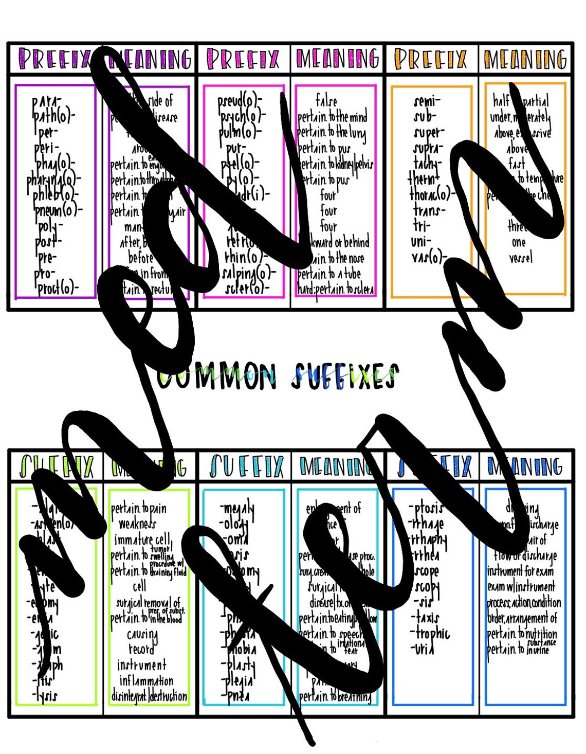 Medical Terminology Cheat Sheet Etsy