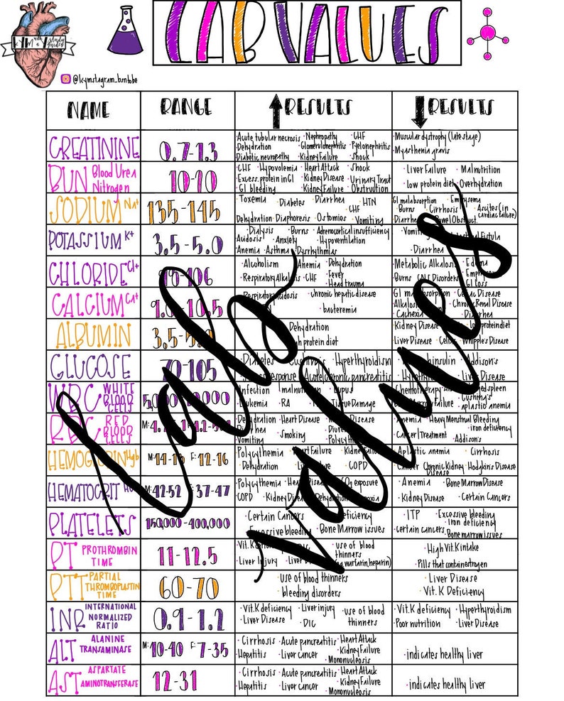 Lab Values Cheat Sheet Etsy