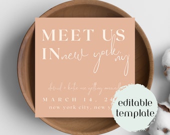 Meet Us In Save the Date Template | Wedding Invitation | Save the Date | Destination Wedding | Bride + Groom | Digital File | Printable