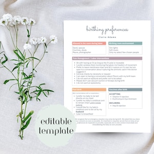 May include: A printable birthing preferences template with text in black font. The document includes sections for labor, environment, pain management, post-birth, and vaccines. The words "editable template" are in a circle on the bottom left.