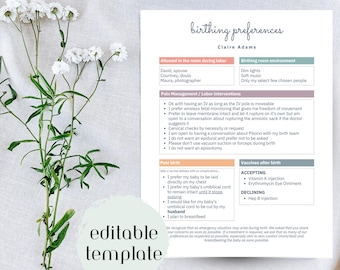Birth Plan Template | Editable File | Canva Template