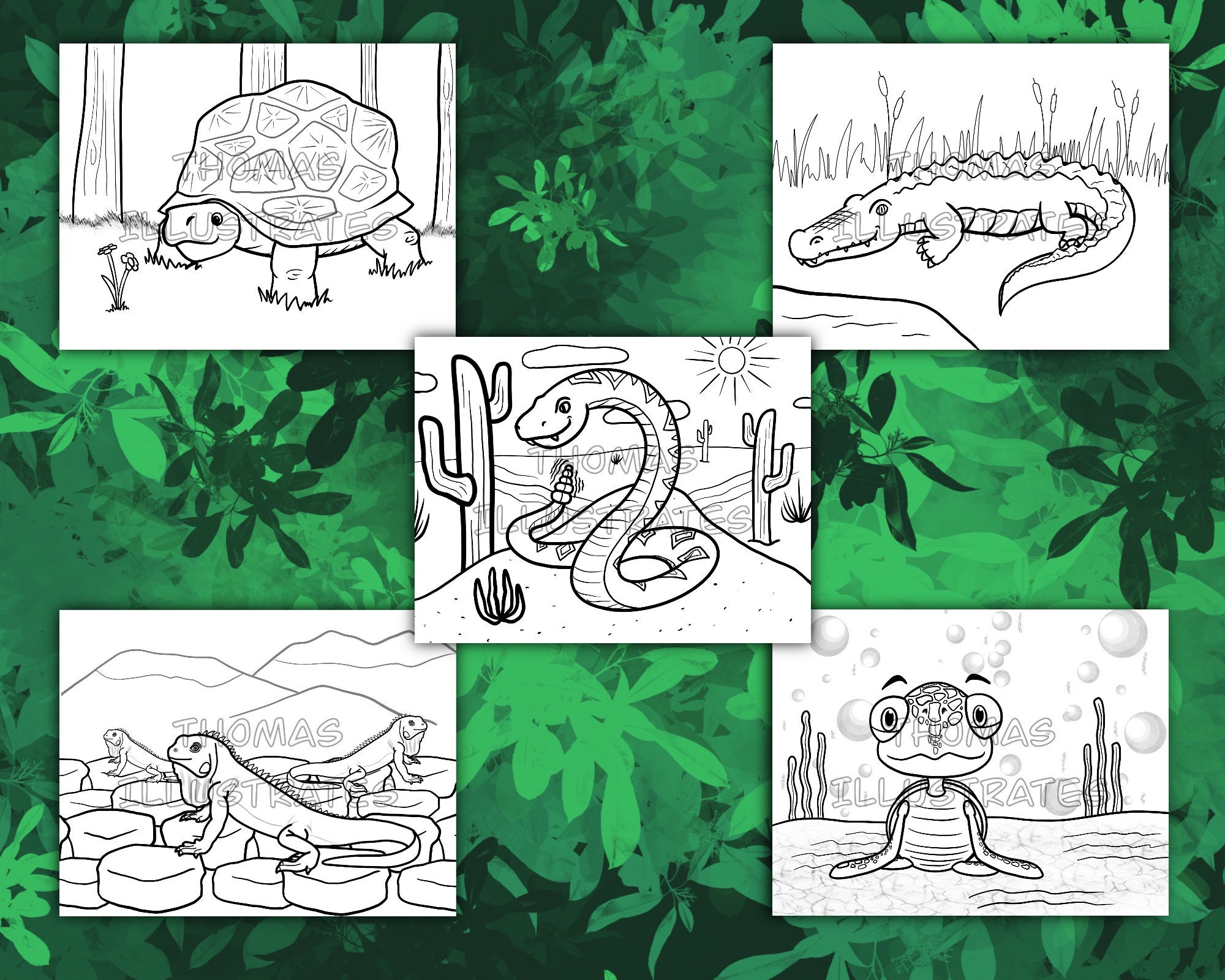 Reptile Coloring Pages Kids Coloring Pages Fun Coloring | Etsy UK