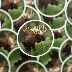 Moose Sticker | Wild Animal Vinyl Sticker
