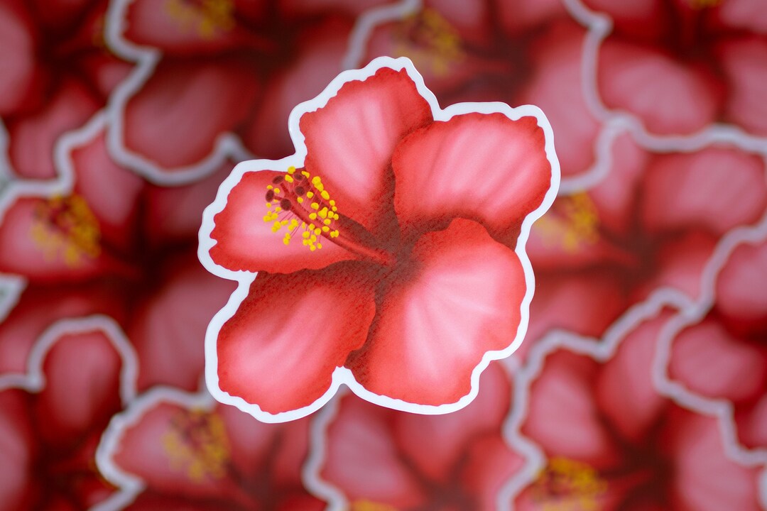 Hibuscus Sticker Hibiscus Sticker | Flower Vinyl Sticker - Etsy