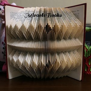 May include: An open book with pages folded into a decorative, layered design. The book has a red cover and the text "Miracle Books" is visible on the pages. The folded pages create a textured, geometric pattern.