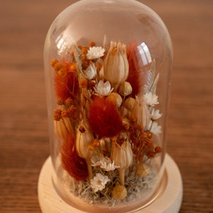 Mini cloche en verre fleurs sechées image 3