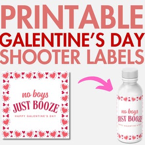 Galentine’s Day Shooter Etiketten “No Boys Just Booze” | Printable Galentines Mini Spirituosenetiketten | 5x5cm große Tequila-Etiketten für die Valentinstagsparty