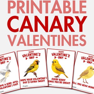 Ausdruckbare kanarische Valentinstage | Haustier-Kanaren-Valentinstagskarten für Mädchen & Jungen | Vogel Valentines | Valentinstag Geschenk für Mädchen