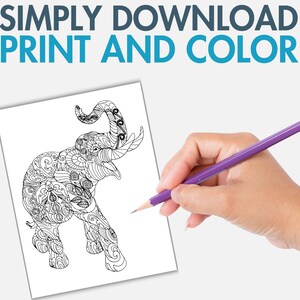 May include: A black and white line drawing of an elephant with intricate patterns on its body. The elephant is standing with its trunk raised and its ears spread out. The image is on a white background and is ready to be colored.