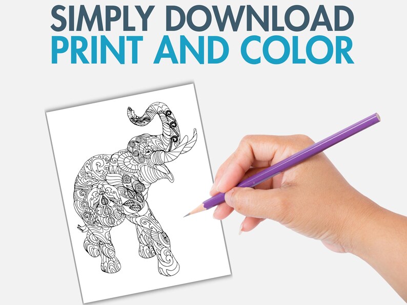 May include: A black and white line drawing of an elephant with intricate patterns on its body. The elephant is standing with its trunk raised and its ears spread out. The image is on a white background and is ready to be colored.