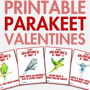 Ausdruckbare Sittich Valentinstag | Haustier Papagei Valentinstag Karten für Mädchen & Jungen | Vogel Valentines | Valentinstag Geschenk für Mädchen