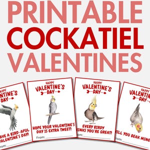 Ausdruckbare Nymphensittich Valentinstage | Haustier Nymphensittich Valentinskarten für Mädchen & Jungen | Vogel Valentines | Valentinstag Geschenk für Mädchen