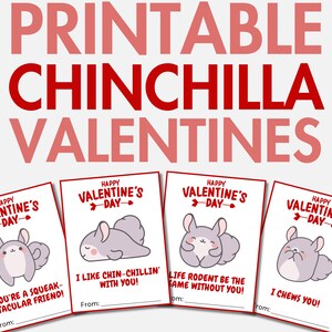 Ausdruckbare Chinchilla Valentinstage | Haustier Chinchilla Valentinstag Karten für Mädchen & Jungen | Klassenzimmer Valentinstage | Valentinstagskarten für die Schule