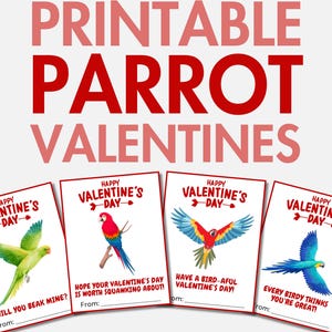 Druckbare Papagei Valentines | Haustier-Papagei-Valentinstag-Karten für Mädchen & Jungen | Vogel Valentines | Valentinstag Geschenk für Mädchen