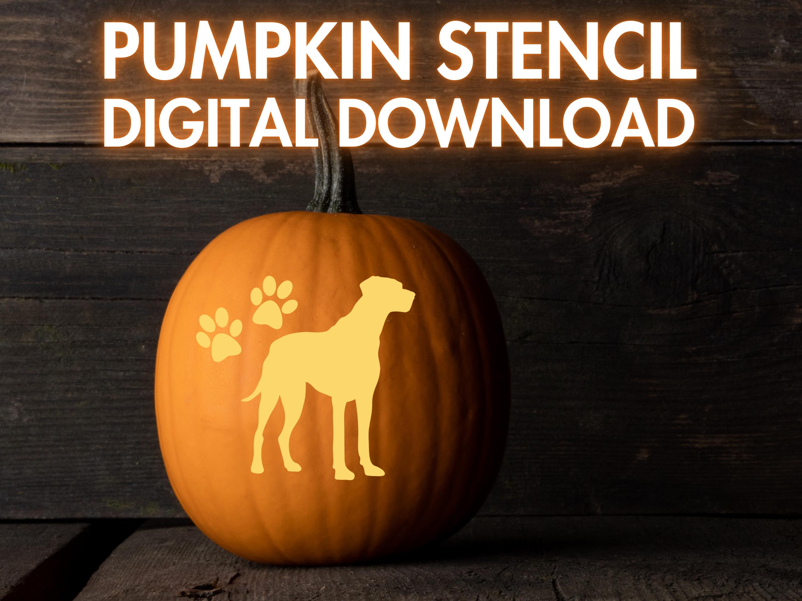 Great dane pumpkin deals