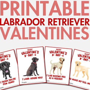 Labrador Retriever Valentinstag Valentinstag | Valentinstagskarten für Kinder & Erwachsene | Hund Valentinstag | Valentinstag Karte für Schulklassenzimmer