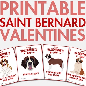 Bernhardiner Valentinstag | Bernhardiner Valentinskarten für Mädchen & Jungen | Hund Valentinstag | Valentinstag Karte
