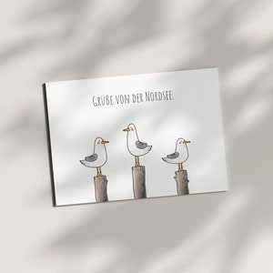 Cartolina - "Saluti dal Mare del Nord" con 3 gabbiani