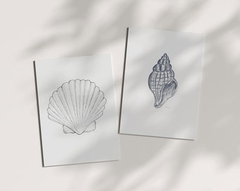 Shell postcards set of 2