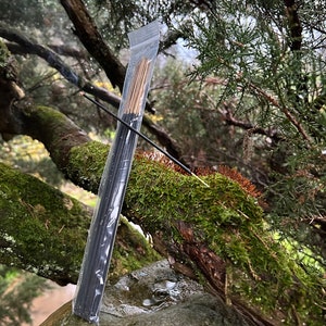 May include: A pack of black incense sticks in a clear plastic bag, with one stick burning and releasing smoke, against a background of green moss and tree branches.