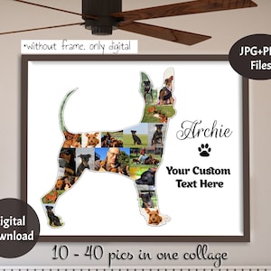 Mini Pinscher Photo Collage, Dog lovers gift, Memorial Pet collage, Pinscher Gift, Dog Wall Art, Dog Picture, Loss Dog gift, Digital File
