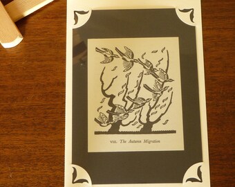 Why Birds Sing - "The Autumn Migration" Greetings Card - Prentiss Taylor Illustration - Blank Inside
