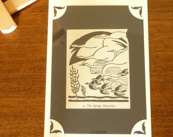 Por qué canten los pájaros - Tarjeta de felicitación "The Spring Migration" - Ilustración de Prentiss Taylor - En blanco