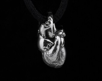 Sterling Silver Anatomical Heart Pendant: Realistic Anatomy Jewelry