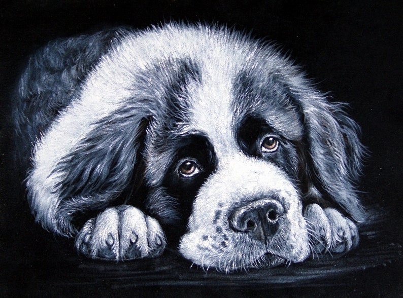 Картина грустная собака