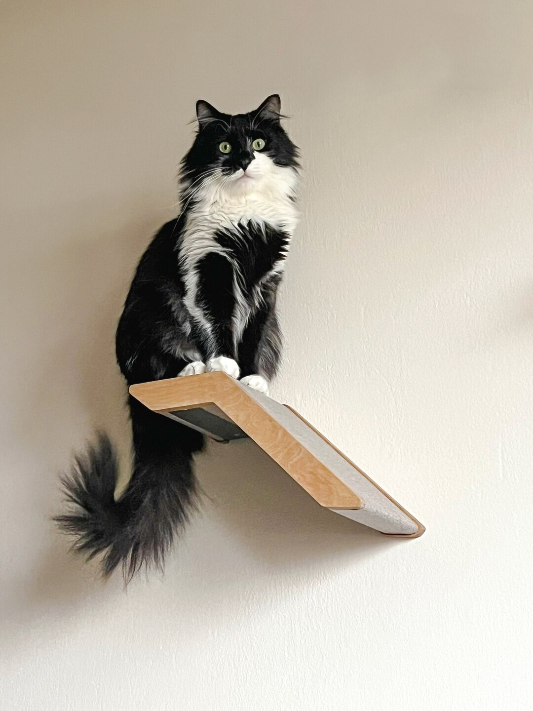 Cat Wall Climbing Ramp, Cat Wall Shelves, Cat Furniture, Cat Gifts - Etsy