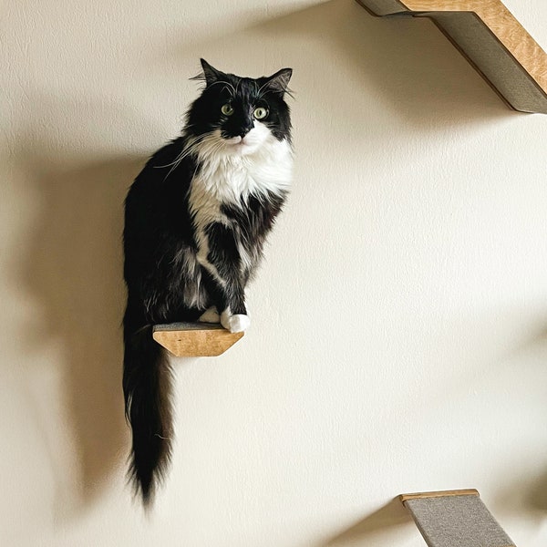 Climbing Cat Wall Furniture, Cat Wall Shelves, Perfect Cat Gifts