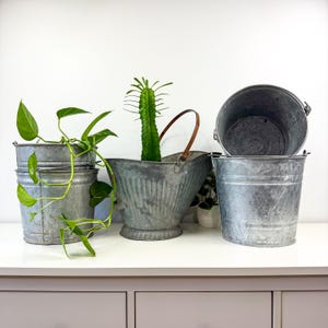 Vintage Galvanized Zinc Flower Plant Pot, Metal Sap Bucket Planter, Distressed Indoor Plant Pot Tin Pail Flower Vase Farm House Pail 8 10 12
