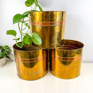 May include: Three hammered brass planters with copper bands. The planters are cylindrical and stacked, with a trailing green plant in the background. The brass has a warm, golden hue, and the copper bands add a contrasting accent.