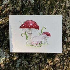 ALBINO TOAD, watercolor print, illustrative art, mushroom art, mushrooms, goblincore, cottagecore, toad art