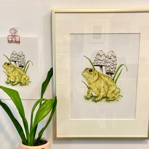 May include: A framed illustration of a yellow toad sitting on the ground with two white mushrooms behind it. The toad is facing the right side of the image. The mushrooms are tall and slender with white caps and brown stems. The background is white.