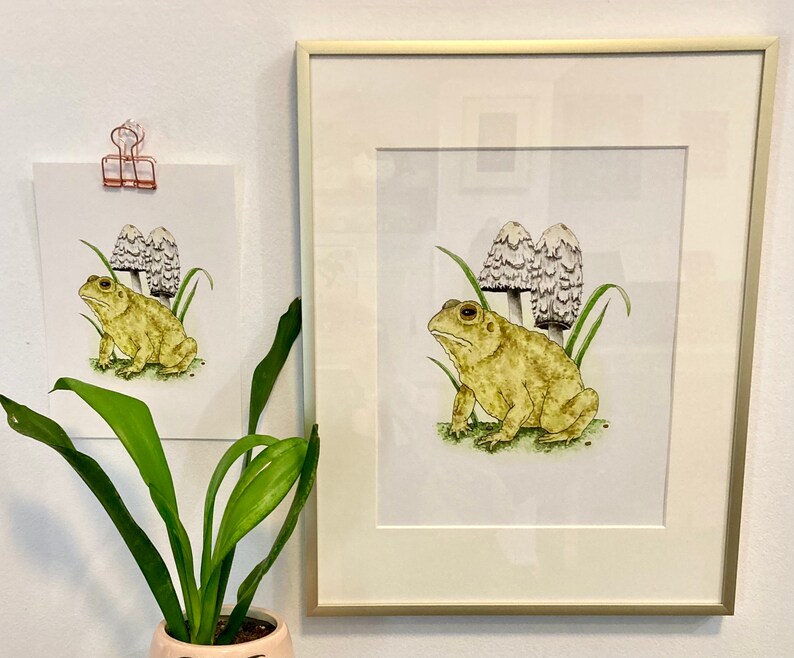 May include: A framed illustration of a yellow toad sitting on the ground with two white mushrooms behind it. The toad is facing the right side of the image. The mushrooms are tall and slender with white caps and brown stems. The background is white.