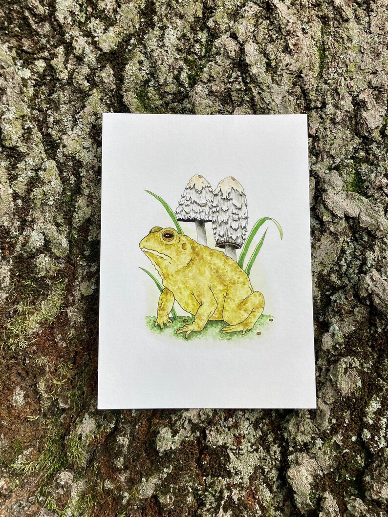 May include: A watercolor painting of a yellow toad sitting on a bed of green grass with two white mushrooms behind it.