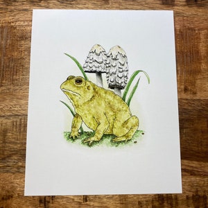 May include: A watercolor painting of a yellow toad sitting on a bed of green grass with two white mushrooms behind it.