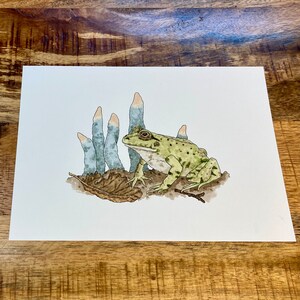 BULLFROG WATERCOLOR PRINT, nature watercolor print, goblincore art, cottagecore art, mushroom art