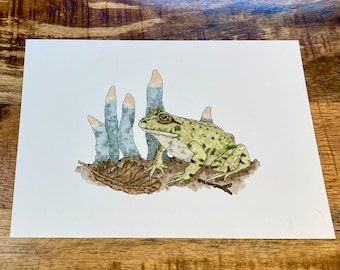 BULLFROG WATERCOLOR PRINT, nature watercolor print, goblincore art, cottagecore art, mushroom art