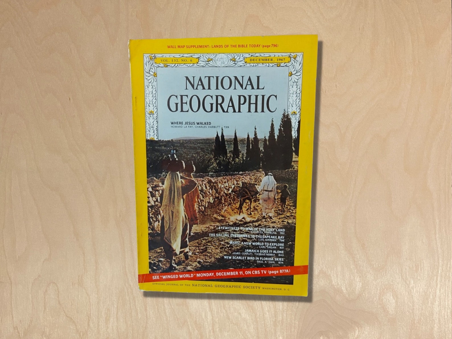 Vintage National Geographic Magazine Vol. 132 No. 6 Issued | Etsy