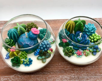 Succulent Cacti Terrarium Garden Handmade Soy Candle/Gifts for Plant Lovers/Gifts for Her/Gifts for Him