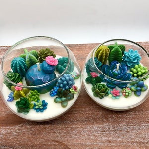 Succulent Cacti Terrarium Garden Handmade Soy Candle/Gifts for Plant Lovers/Gifts for Her/Gifts for Him