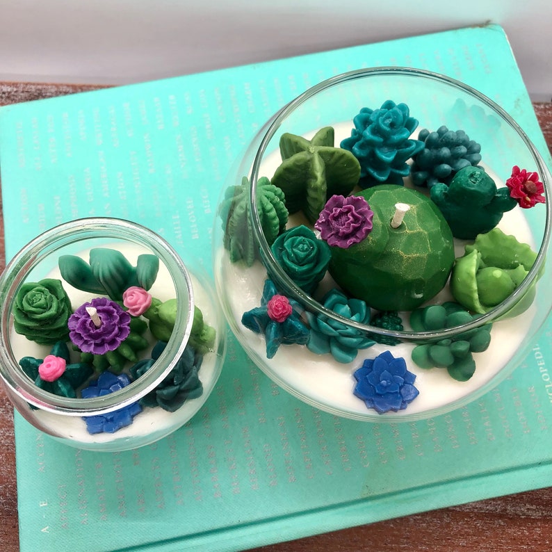 Succulent Cacti Terrarium Garden Handmade Soy Candle/Gifts for Plant Lovers/Gifts for Her/Gifts for Him image 10